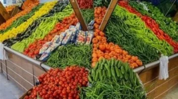 تحديث يوم الخميس أسعار الخضروات الطازجة في أسواق الأقصر